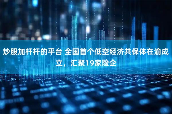炒股加杆杆的平台 全国首个低空经济共保体在渝成立，汇聚19家险企